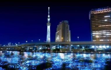  بالفيديو…اليابانيون يضيئون نهرا بطوكيو بمئة ألف لمبة