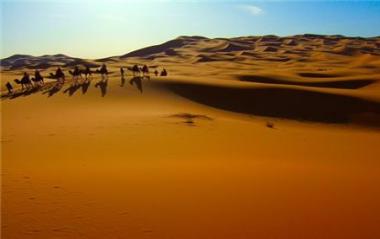 الصحراء تمتص ثاني أكسيد الكربون